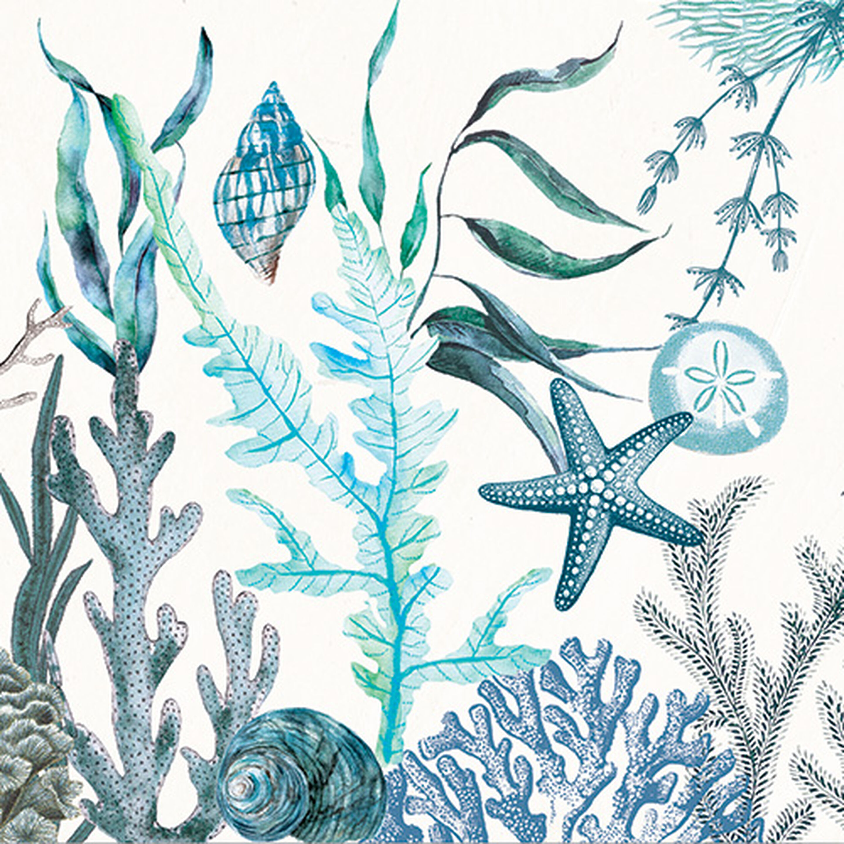 MDW - Ocean Tide Collection